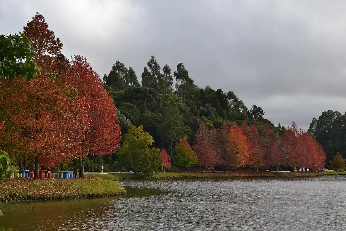 São Francisco de Paula o próximo polo de valorização da Serra Gaúcha